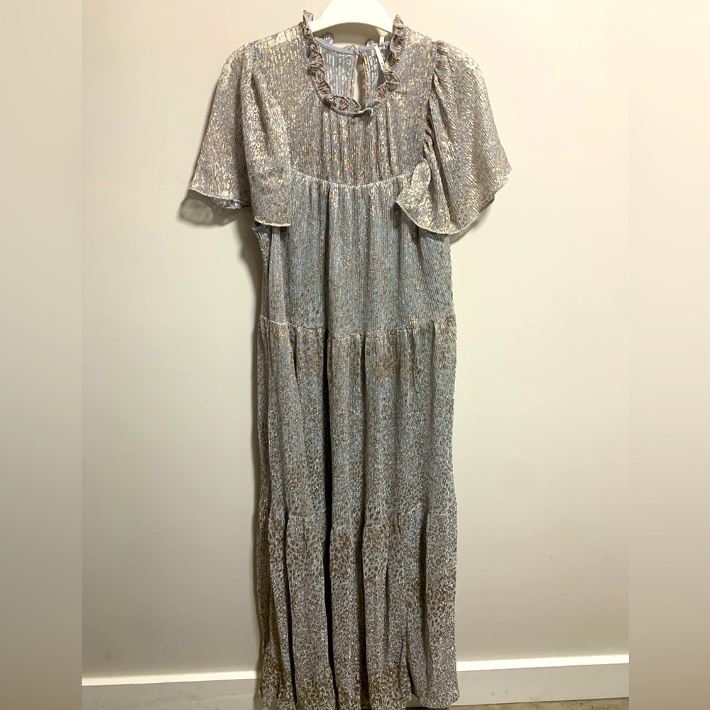 Anthropologie Silver and Gold Maxi Dress
